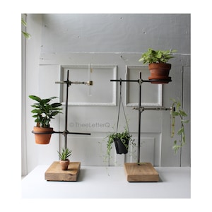 ONE Lab Stand Plant & Test Tube Holder - Propagation Vase - 20" Tall Plant Stand Display - Indoor Planter - Qty Avail Ready to Ship