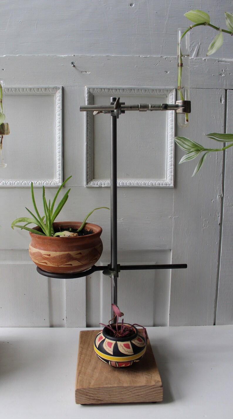 ONE Lab Stand Plant & Test Tube Holder Propagation Vase Etsy