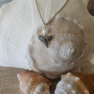 Handgefertigte Florida Fossile Haifischzahn Halskette