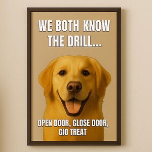Lámina divertida de Golden Retriever: «Ambos sabemos cómo funciona» - Regalo para amantes de los perros (descarga digital)