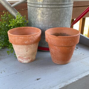 May include: Two terracotta flower pots with a weathered, matte finish and a wide rim. The pots are positioned in front of a galvanized metal watering can with a red handle and a small green plant with tiny leaves to the left side.