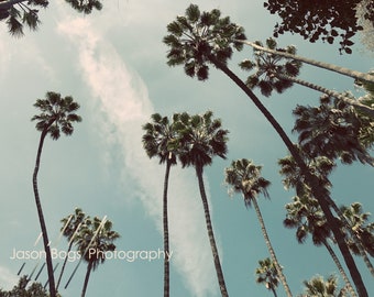 Palm Trees Art Photography - California, wall art, home decor, beach, Palms