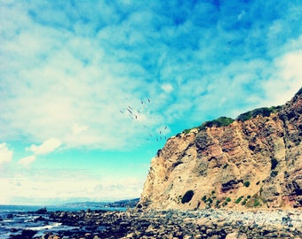 Birds Flying by a Seaside Cliff - 8X10 Ocean Scenic Fine Art Photo, California Coast