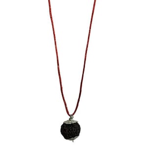 6 Mukhi Rudraksha Silver Pendant | Genuine Nepali Bead for Focus, Strength & Confidence | Traditional Spiritual Jewelry