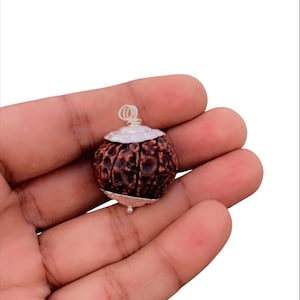 13 Mukhi Rudraksha Pendant | Nepali Silver Rudraksha for Men & Women | 18mm Certified Religious