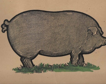 Vintage 1920's large Illustrated Flash Card - Pig - Illustration