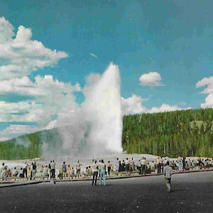 vintage Carte postale Midcentury Large Photo Inused - Voyage - États-Unis - Parc national de Yellowstone - Nature - Set of Five