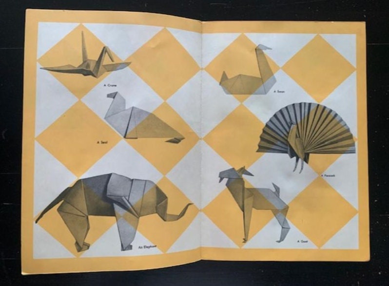 Origami Book for Kids Ages 8-12 boys: Transform paper into art