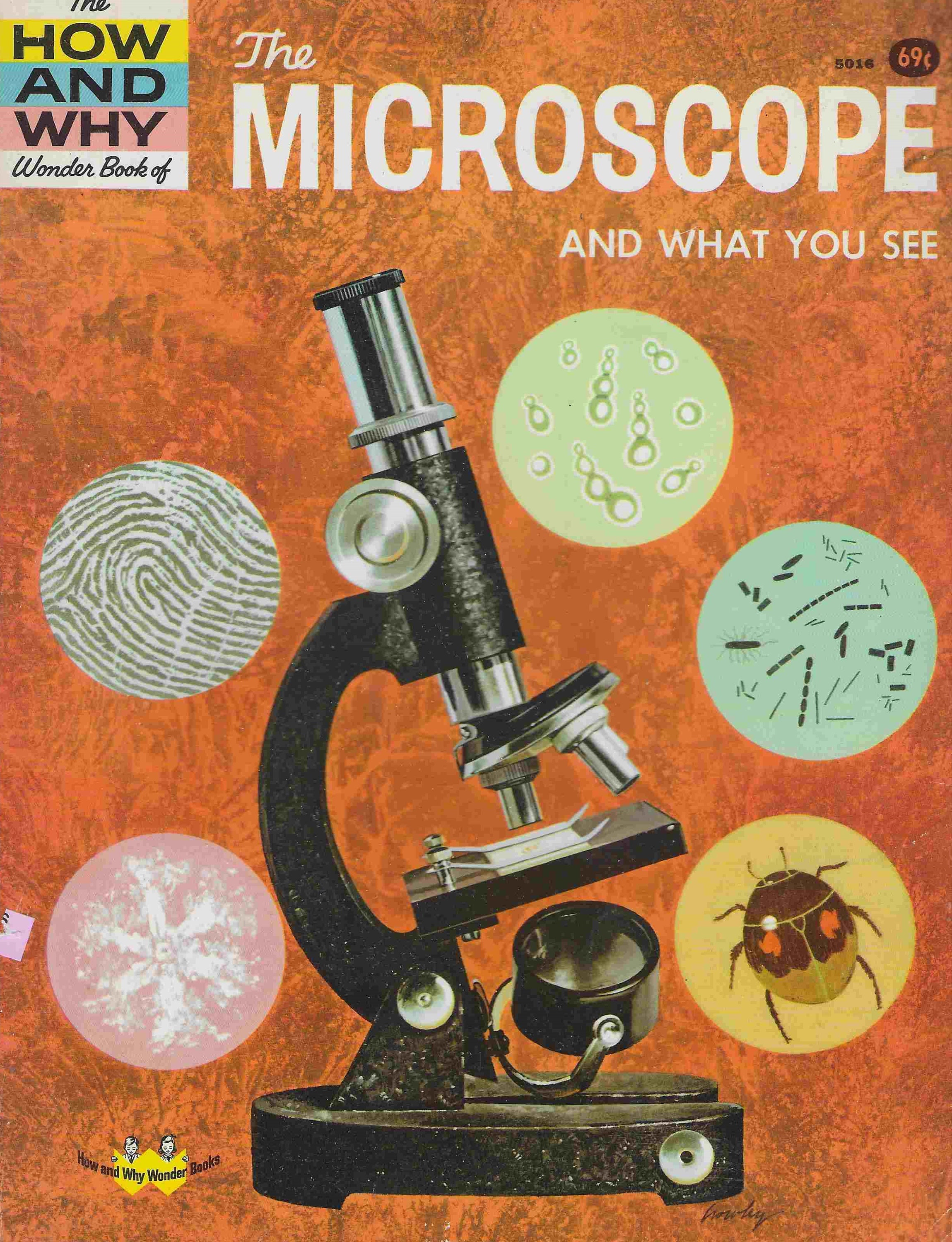 Microscopes and Microbes Picture Books for Kids – Librarian in the House