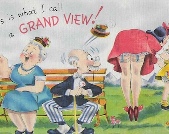 Vintage Mid Century Unused Funny Illustrated Postcard - Humor
