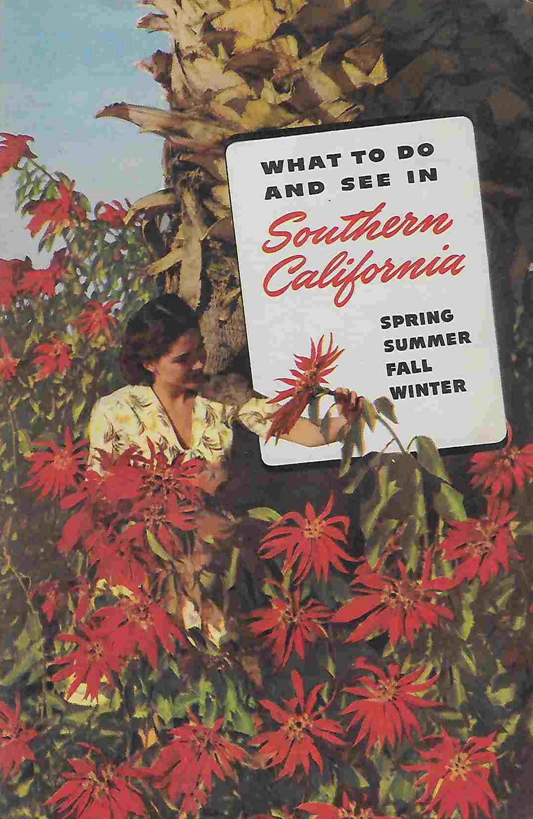 ヴィンテージ ミッドセンチュリー旅行パンフレット - 米国 - 南