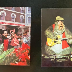 Cartão postal vintage com foto, sem uso, dos anos 80 - Disneylândia - Mickey e Minnie Mouse - Urso do campo - Conjunto de dois