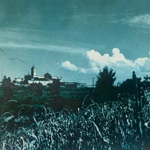 Fotografia przyrodnicza z lat 40. XX wieku - Pocztówka - Sztuka - Los Remedios, Meksyk