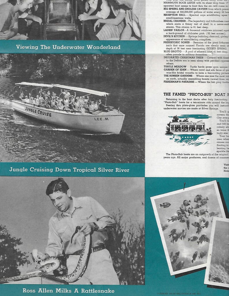 Folleto de viaje de 1950 Cámara nupcial Silver Springs de ...
