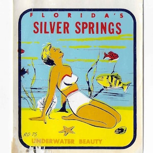 Vintage Mid Century Unbenust Reise Sticker - Badeschönheit - Strand - SilberNe Federn, Florida