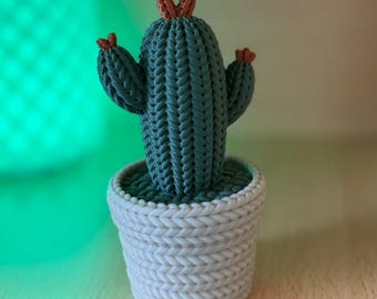 Figura de cactus impresa en 3D: mini cactus para decorar tu escritorio