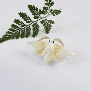 May include: A decorative moth-shaped ring with iridescent wings and black eyes. The ring is cream-colored and sits on a white surface, with a green fern leaf in the background.