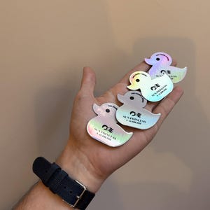 Op de afbeelding: Vier iriserende, eendvormige stickers met de tekst "YOU FOUND A DUCK!" en "SUN PRINCESS 6-13 JUNE 2026" en een cruiselijnlogo. Elke sticker heeft een reflecterende, holografische afwerking die van kleur verandert onder invloed van licht.
