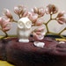 Little Hantu Owl Carved Bone Bead