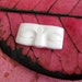 Buddha Eyes 28mm Carved Bone Cabochon
