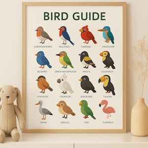 Guía de Aves: Póster educativo digital para niños / Tabla de aves imprimible / Arte mural Montessori para la guardería, el aula o la educación en casa