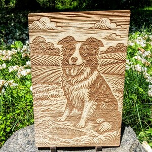 Border Collie, Woodcut Engraving