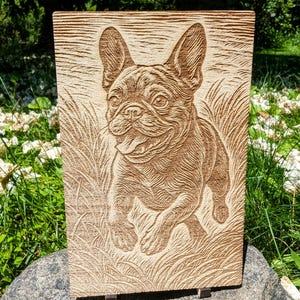 French Bulldog, Woodcut Style Engraving