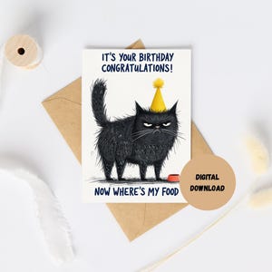 Cat Birthday Card – Black Cat, Funny Cat Card, Birthday Card, Greeting Cards , Pet Birthday Card, Card for Cat Lover