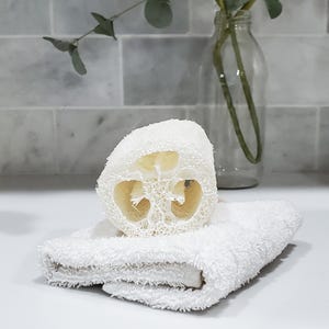 Cucumber Exfoliater