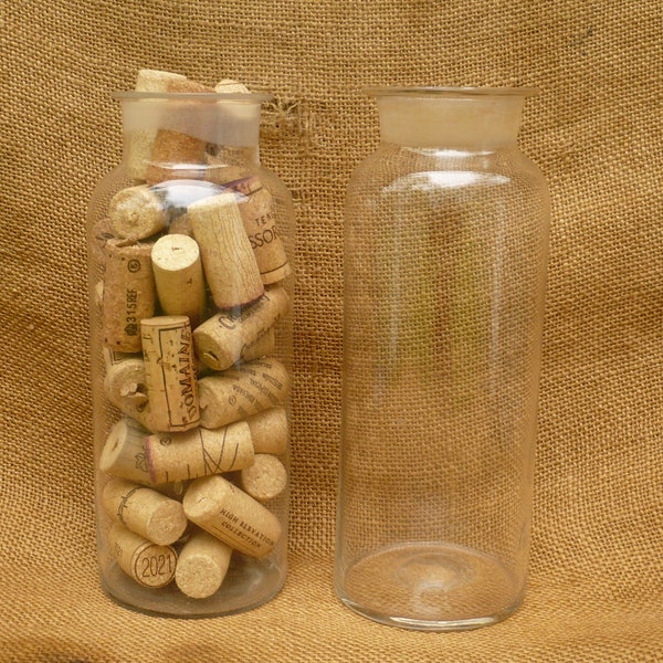 Vintage Apothecary Bottles-Set of 2