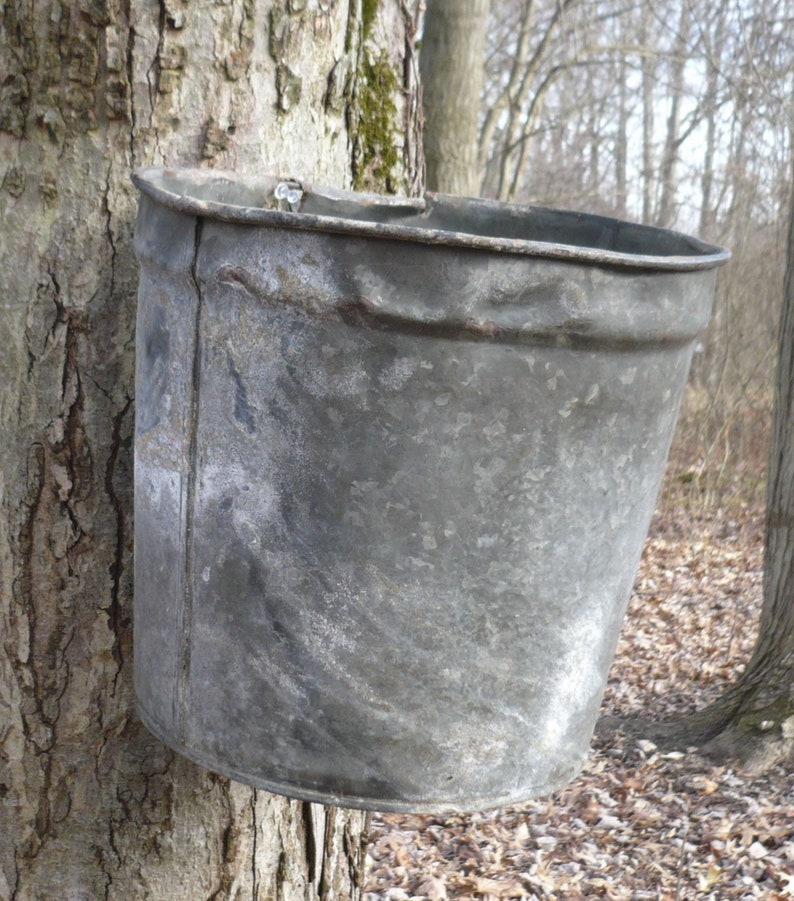 Vintage Maple Sap Bucketgalvanized Syrup Pail Etsy