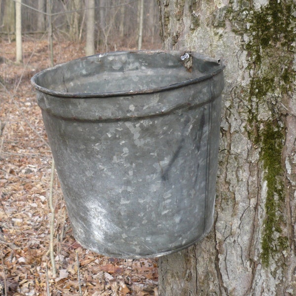 Sap Bucket Etsy