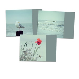 Lot de 3 cartes postales "SeeGang" - carte postale photographie photo mer plage vacances été mouette coquelicot vagues eau