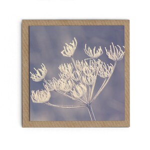 Grußkarte "FrostBlume" inklusive Kuvert - Natur Foto Fotografie Winter Blume Advent Weihnachten Makro Kunst Schnee Eis Karte Klappkarte