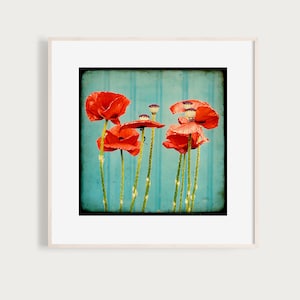 Art Print "Scandinavian Summer 04" poppies poppy house wall wood red summer turquoise Sweden house