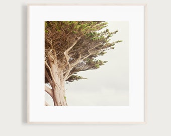 WindSwept - Fine Art Print Photography Photo France Bretagne Beacon Coast