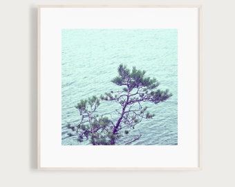 CoastalView - Fine Art Print Photography Photo Denmark Beach