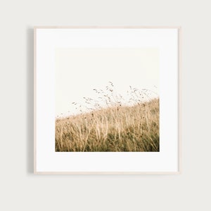 CloseUp Fine Art Print Photography Photo grass meadow nature image 1