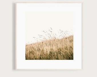 CloseUp - Fine Art Print Photography Photo grass meadow nature