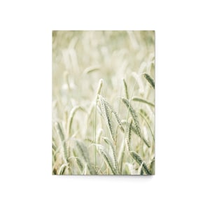 Carte postale « Summertime » (lot de 3) - paysage champ céréales blé moderne Stine Wiemann Photography
