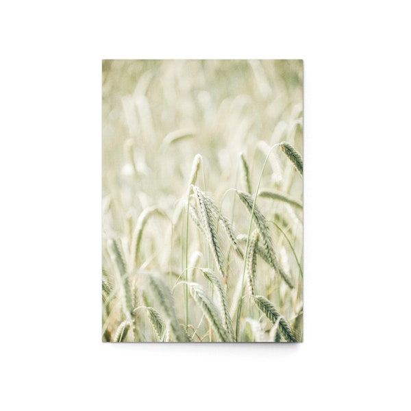Postkarte "Summertime" (3er Set) - Landschaft Feld Getreide Weizen modern Stine Wiemann Fotografie