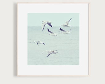 Seagull Flock - Fine Art Print Photography Photo Summer sky blue green birds landscape Denmark Beach