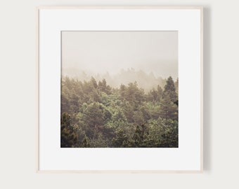 KunstDruck "MärchenWald" - Wald Herbst Nebel Kunstdruck Foto