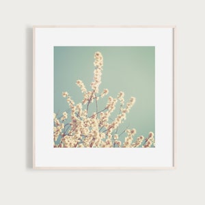 Underneath the Cherry Tree - Fine Art Print of Cherry Blossoms in Spring with a vintage Feel