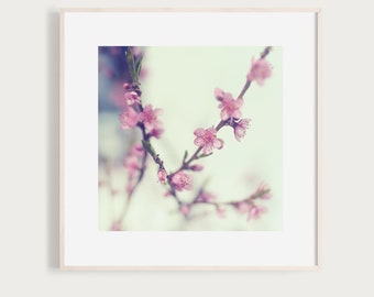 PinkPeach - Fine Art Print Photography Photo peach tree blossoms garden