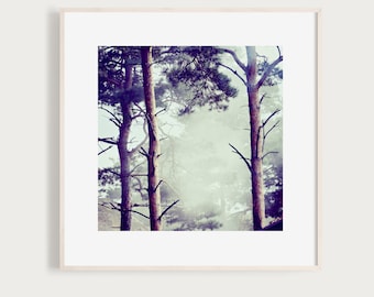 FogForest - Fine Art Print Photography Photo Sweden Pine Tree Forest Autumn Fall