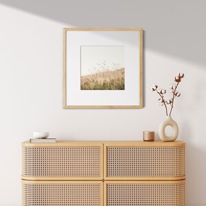 CloseUp Fine Art Print Photography Photo grass meadow nature image 2