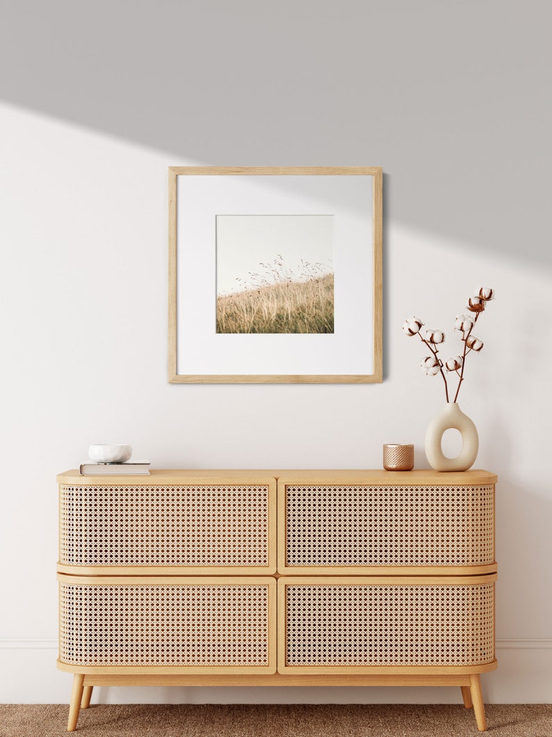 CloseUp Fine Art Print Photography Photo grass meadow nature image 2