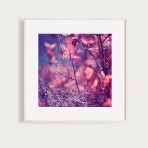 Könnte beinhalten: Gerahmter Druck mit einer Nahaufnahme eines Spinnennetzes mit Wassertropfen, vor einem Hintergrund aus verschwommenen roten und violetten Blättern. Das Kunstwerk erinnert an Natur und die freie Natur.