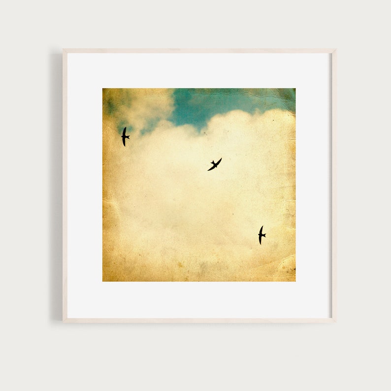 It takes more than one swallow... Fine Art Print Birds Sky vintage texture flying clouds turquoise green yellow summer flock bird photo image 1
